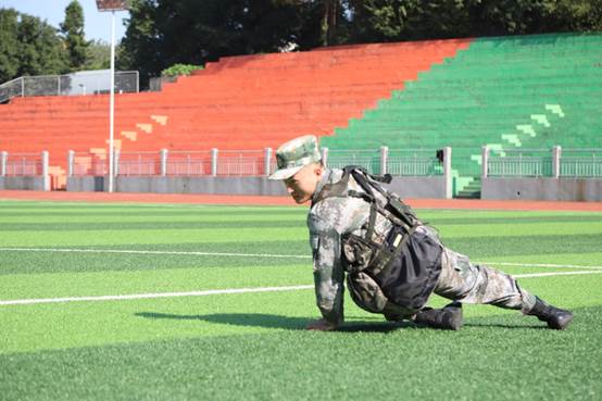 人在草地上骑马描述已自动生成